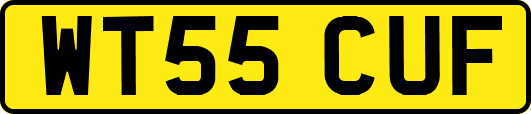 WT55CUF