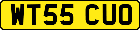 WT55CUO