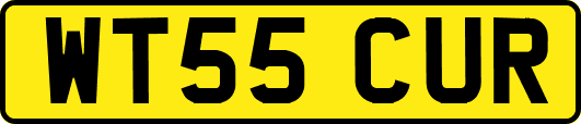 WT55CUR