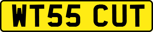 WT55CUT