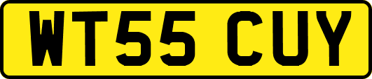 WT55CUY