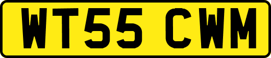 WT55CWM