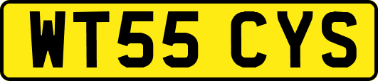 WT55CYS