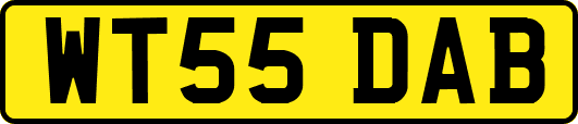 WT55DAB