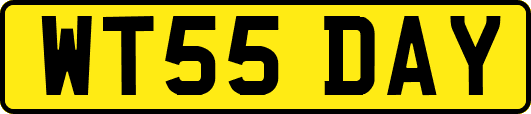 WT55DAY