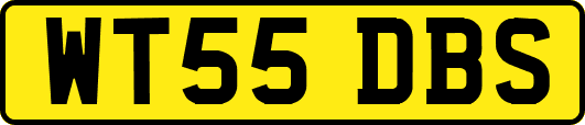 WT55DBS