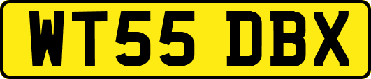 WT55DBX