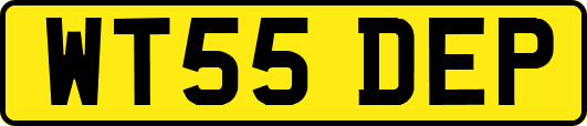 WT55DEP