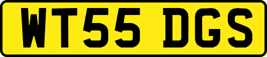 WT55DGS