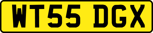 WT55DGX