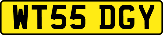 WT55DGY