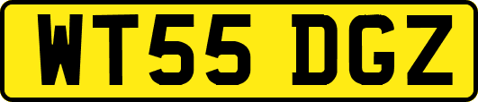 WT55DGZ