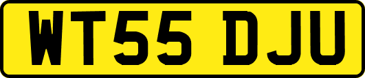 WT55DJU