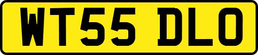 WT55DLO