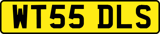 WT55DLS