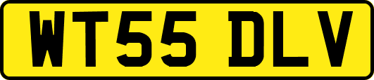 WT55DLV