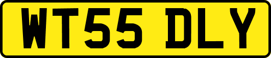 WT55DLY