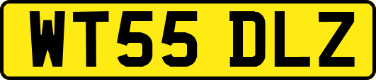 WT55DLZ