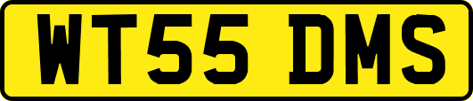 WT55DMS