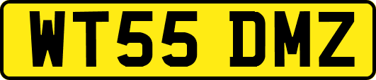 WT55DMZ