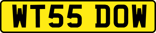 WT55DOW