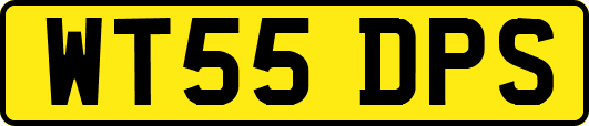 WT55DPS