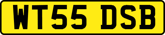 WT55DSB