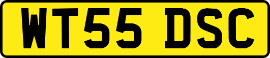 WT55DSC