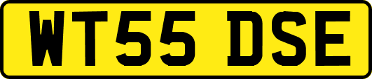 WT55DSE