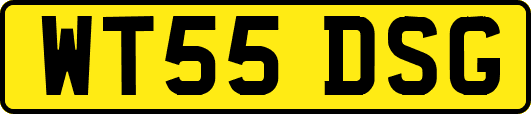WT55DSG