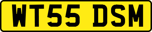 WT55DSM