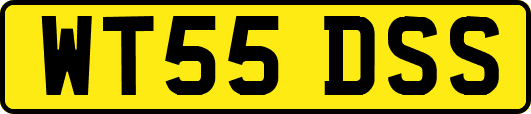 WT55DSS