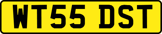WT55DST