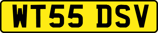 WT55DSV