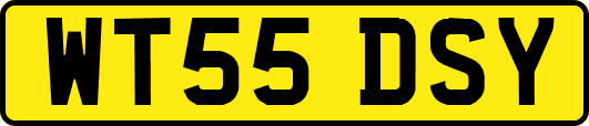 WT55DSY