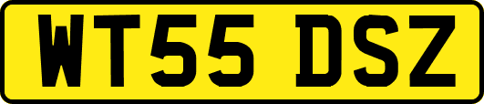 WT55DSZ