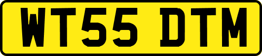 WT55DTM