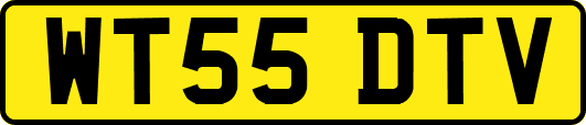 WT55DTV