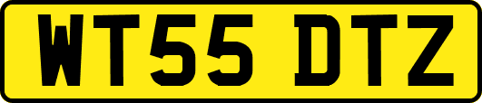 WT55DTZ