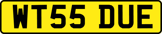 WT55DUE