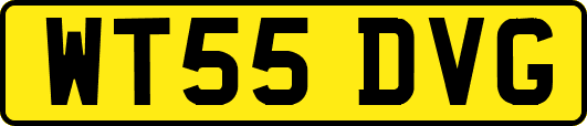 WT55DVG