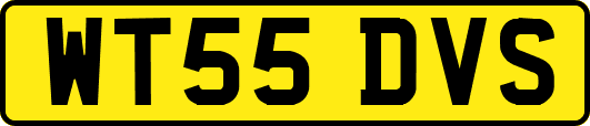 WT55DVS
