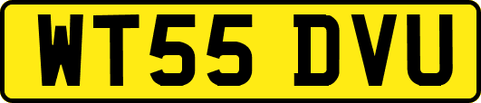 WT55DVU