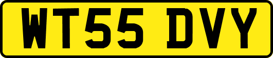 WT55DVY