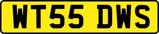 WT55DWS