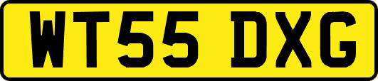 WT55DXG