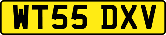 WT55DXV