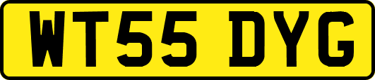 WT55DYG