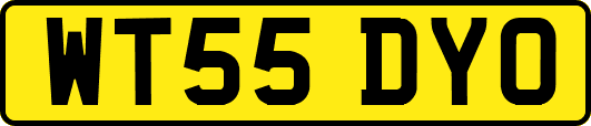 WT55DYO