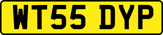 WT55DYP
